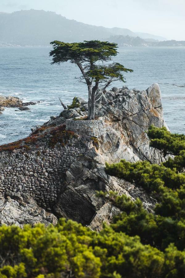 Sea View Inn - Carmel Dış mekan fotoğraf